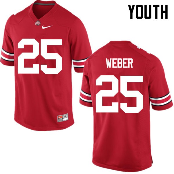 Ohio State Buckeyes #25 Mike Weber Youth Stitch Jersey Red